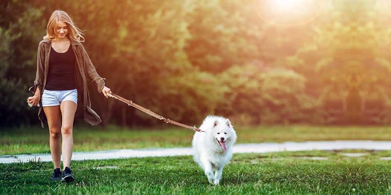 Guinzaglio Retriever TIAKI Twist per cani - su bitiba conviene!